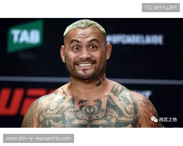 UFC 新星打出连环拳